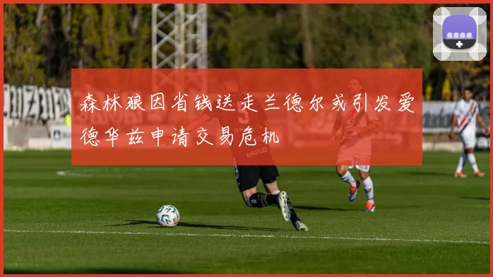 森林狼因省钱送走兰德尔或引发爱德华兹申请交易危机