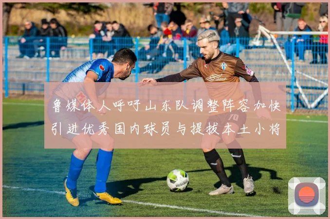 鲁媒体人呼吁山东队调整阵容加快引进优秀国内球员与提拔本土小将